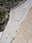 Alpine Ibex Cingino Dam3.jpg