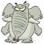 angry elephant.jpg