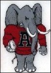 elephant05.jpg