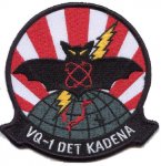batbadge.jpg batbadge.jpg