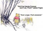 Winnie-the-Pooh-friends forever.jpg