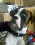 shocked face.jpg