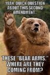 bearmeme.jpg