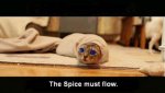 spicecat1.jpg spicecat1.jpg