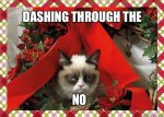 Grumpy+Cat+Christmas+Meme+Dashing+Through+The+NO.jpg