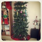 tree.jpg tree.jpg