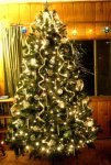 tree.jpg
