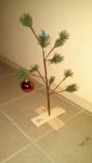 IMG_20131201_224457_930.jpg