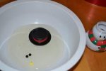 dead snowman.jpg dead snowman.jpg