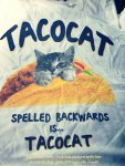 taco+cat+shirt.jpg