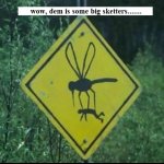 sketter warning.jpg