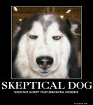 skeptical-dog-dm.jpg
