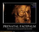 prenatal-facepalm.jpg