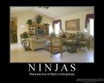 ninjas-there-are-four-of-them-in-this-picture.thumbnail11.jpg