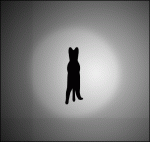 OpticalIllusionOptical-illusion-kitty.gif