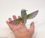Hummingbird Spy Drone.jpg
