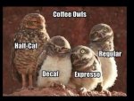 coffee owls.jpg