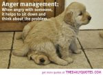 1674153620-funny-quotes-anger-pic-cute-animal-pictures-quote-pics.jpg