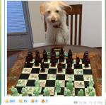 1652755058655.png 1652755058655.png