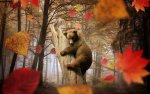bear-owl-autumn-leaves-wallpaper.jpg