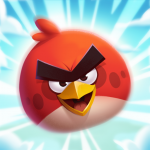 angry bird.png