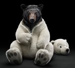 1bearcostume.jpg 1bearcostume.jpg