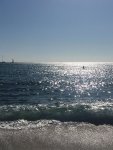 Stars on the sea..jpeg