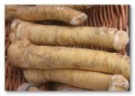 horseradish.jpg