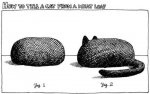 catmeatloaf.jpg catmeatloaf.jpg