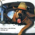 Truck-Driver-Dog-150x150.jpg Truck-Driver-Dog-150x150.jpg