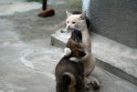 a.aaa-bet-friends.jpg a.aaa-bet-friends.jpg