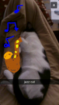 jazz cat.png