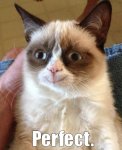 grumpy cat-perfect.jpg