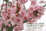Psalm 56v3.jpg Psalm 56v3.jpg