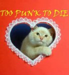 too punk-cat.jpg too punk-cat.jpg