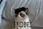 french-grumpy-cat.jpg