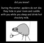 spiders-did u know.jpg