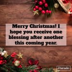 best-merry-christmas-wishes-to-write-in-christmas-cards-5.jpg