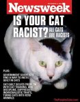 racist cat.jpg