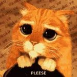 1692117968530.jpeg 1692117968530.jpeg