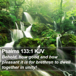 Behold_Unity.png Behold_Unity.png