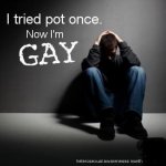 pot_gay2.jpg