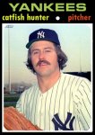 Catfish_Hunter.jpg