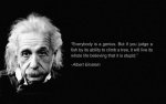 albert-eisteing-everybody-is-a-genius-but-if-you-judge-a-fish-by-its-ability-to-climb-a-tree1.jpg