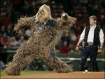 Chewbacca_baseball.jpg