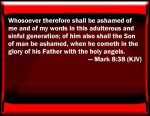 KJV_Mark_8-38.jpg