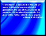 NASB_Mark_8-38.jpg