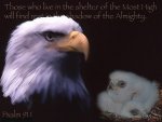 psalm91_10.jpg