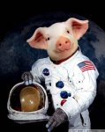 WhenPigsFly.jpeg