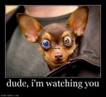 1430_dude-i-m-watching-you.jpg 1430_dude-i-m-watching-you.jpg